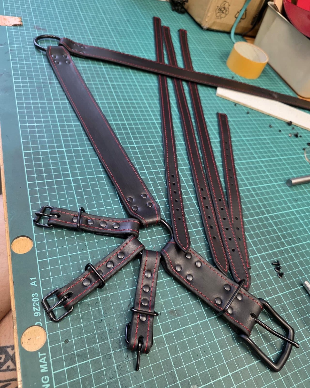 Hnědý harness
